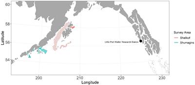 A novel approach for rapidly determining the reproductive status of walleye pollock (Gadus chalcogrammus) using Raman spectroscopy